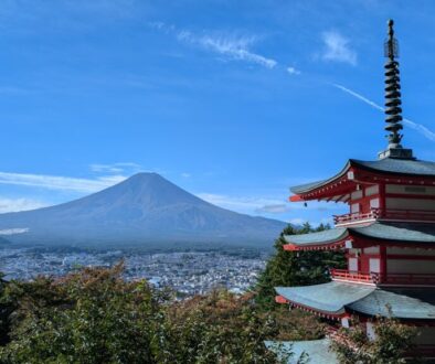 PXL_20241021_235601395